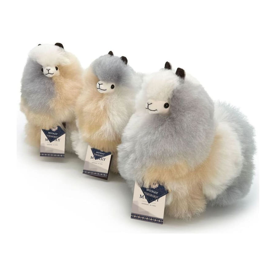 Seashell Limited Edition alpaca, several sizes together
