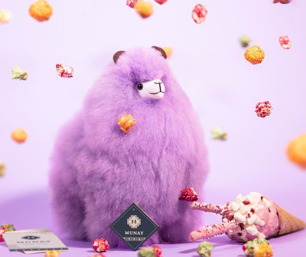 Alpaca Rainbow en Violet, foto de estudio