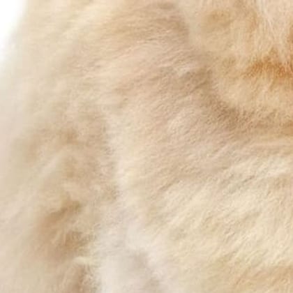 A close crop of Sahara alpaca fur, the shade held to a standard across every market