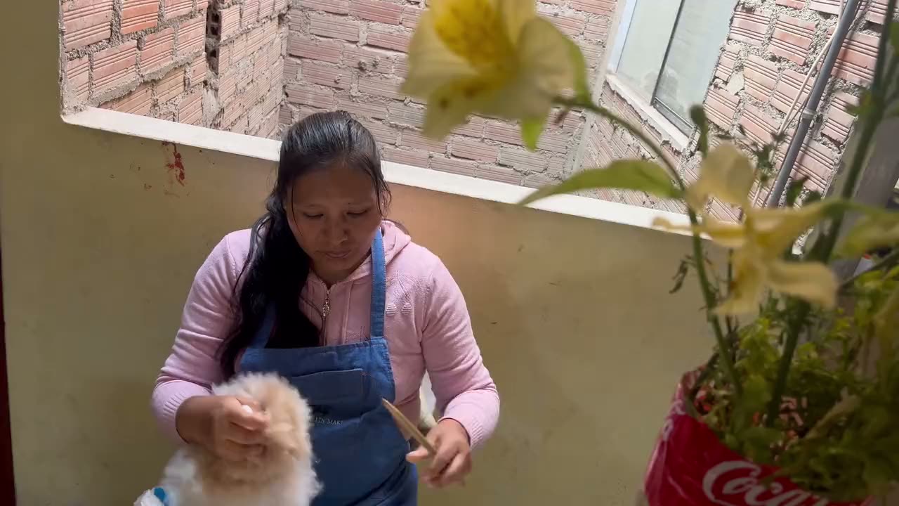 Una mujer con delantal de taller cepillando a mano una alpaca de color claro
